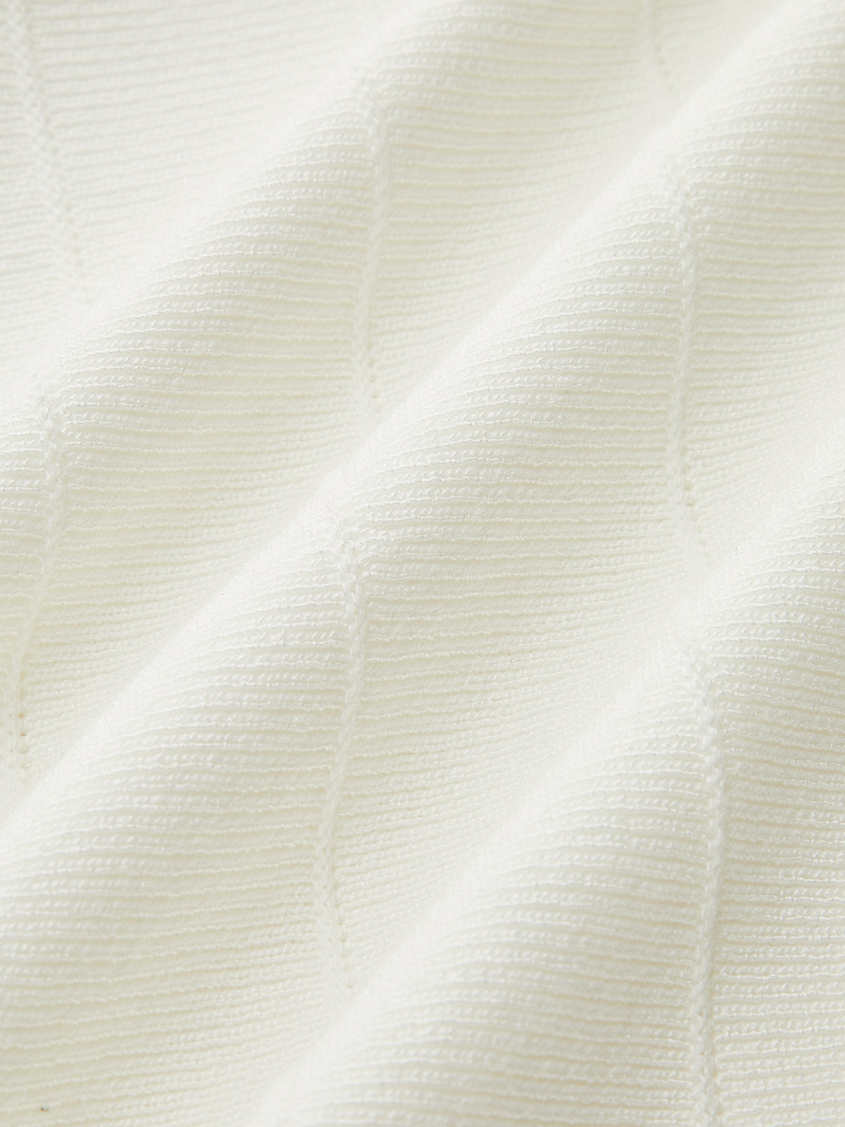 Semi-Sheer Mesh Flared Dress Without Belt